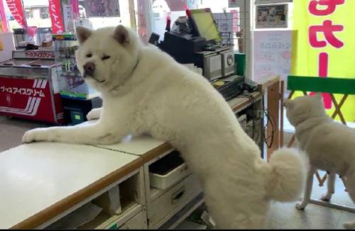 「今日はお客さん来るかな？」