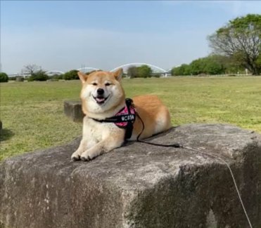 微笑み