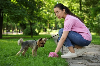 犬のウンチをとる女性
