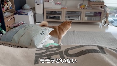 女の子を探してキョロキョロ
