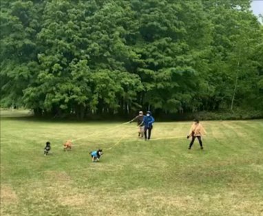 公園