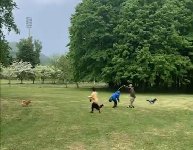 驚き