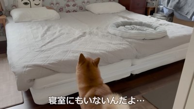 「ここにもいない…」