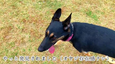 ほっと一安心♡