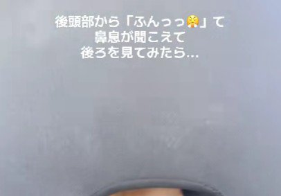 背後から鼻息が…