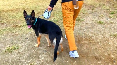 ドッグランに到着