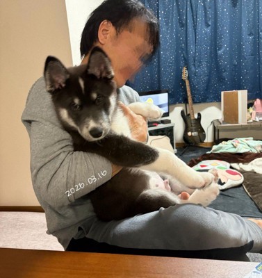 約1ヶ月で大きくなりました