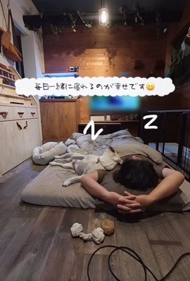 眠った大福くん