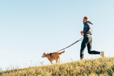 走っている犬と男性