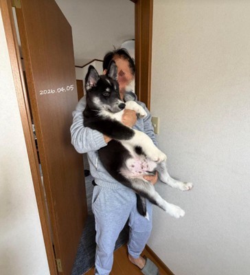 その後もすくすく成長