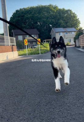 元気に駆け寄ってくる稀琉くん