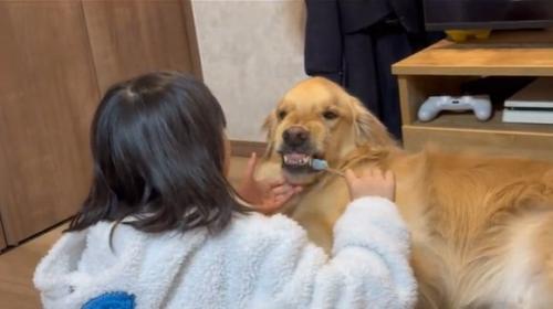 歯を出すルークくん