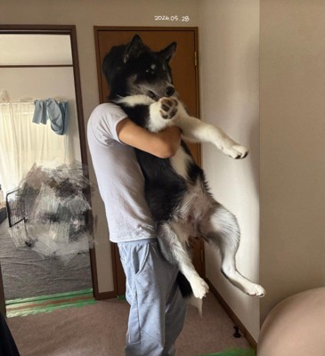 抱っこするのも大変そう（笑）