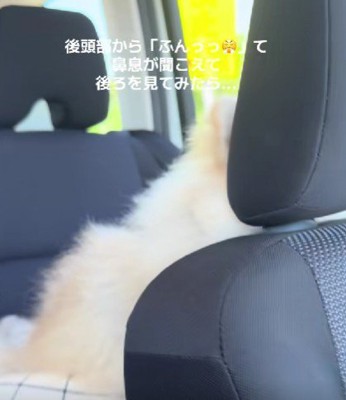 なんとしても近づきたい！？