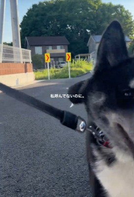 そのままご家族に激突！