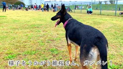 「よし、ちょっと遠くまで行ってみよう」