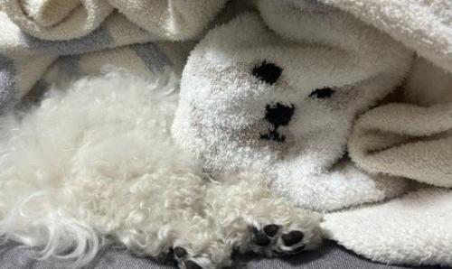 顔が動かない！？