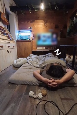 気づかない飼い主さん