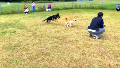 お友達もできたようです♪