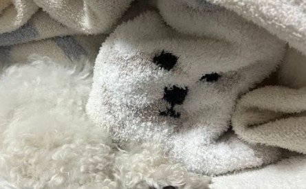 見事な一体化に爆笑♪