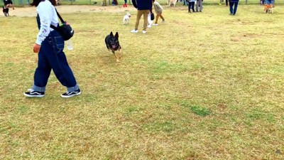 ようやく発見！