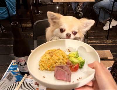 お出かけ