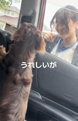 疲れも吹き飛ぶお出迎え