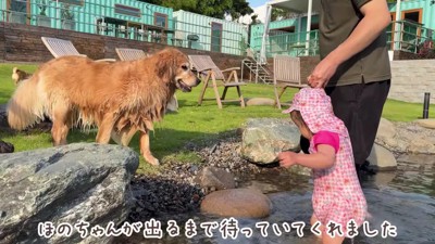 池から上がるときも見守り