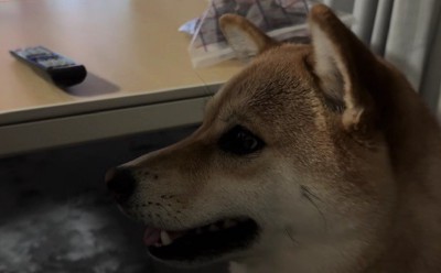気合いを入れて再チャレンジ