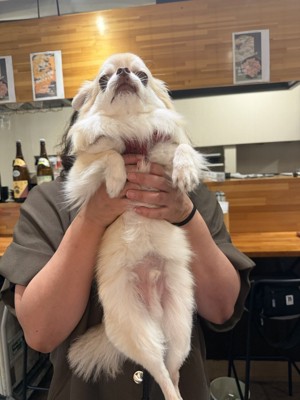 抱っこ