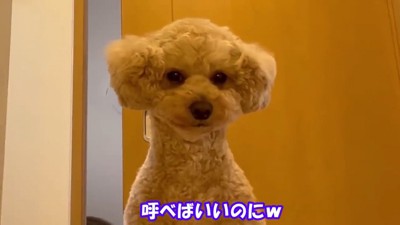甘えん坊で健気♡