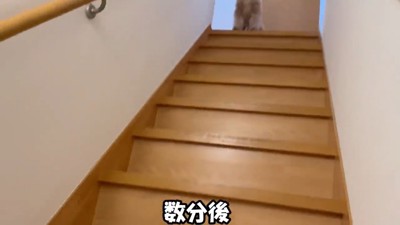 しばらくしてから様子を見に行くと…