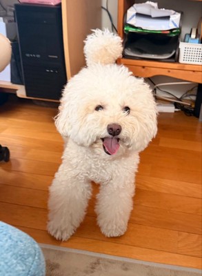 ニコニコ