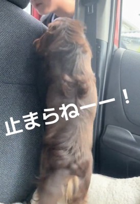喜びは最高潮！