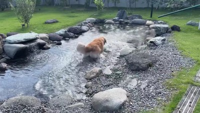 水遊びが大好きなおからちゃん