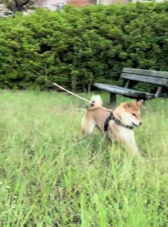 虫探しが大好き♪