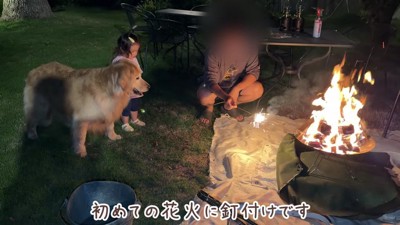 幸せな旅行の思い出…