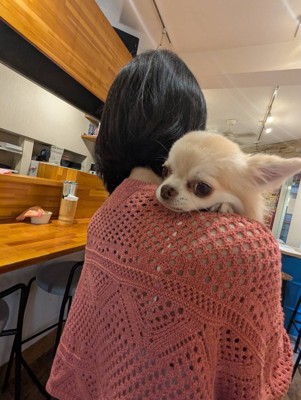 抱っこ