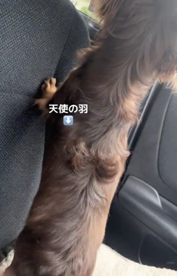 喜びが止まりません