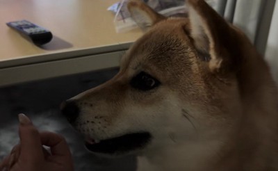 「アッ、アー」