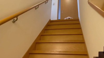 階段の前に行ったら…