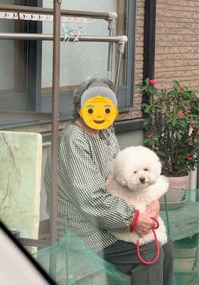 癒し