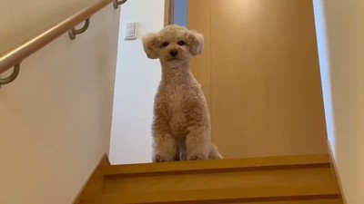 「お迎えに来るのが遅い！」と不満そう