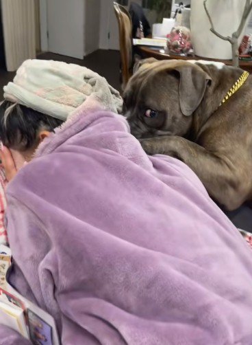 反省する姿にホッコリ