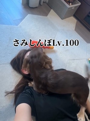 顔の上に乗って甘える犬