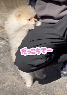 「やっぱり怖いよ」