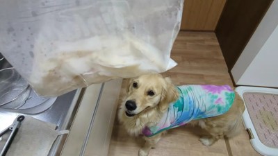一緒に夕食を食べよう