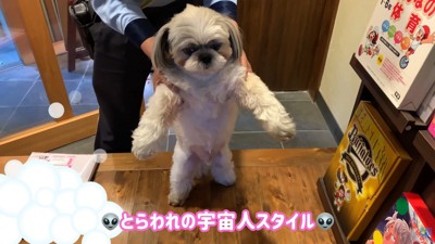 とらわれた宇宙人ごっこ？
