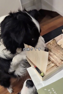美味しそう…