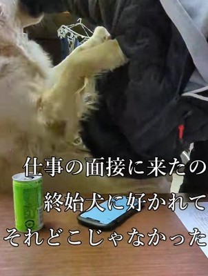 ティトちゃんがアタック!